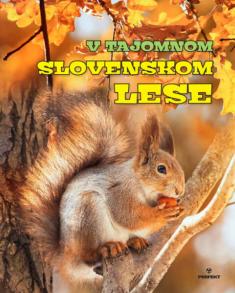 V tajomnom slovenskom lese